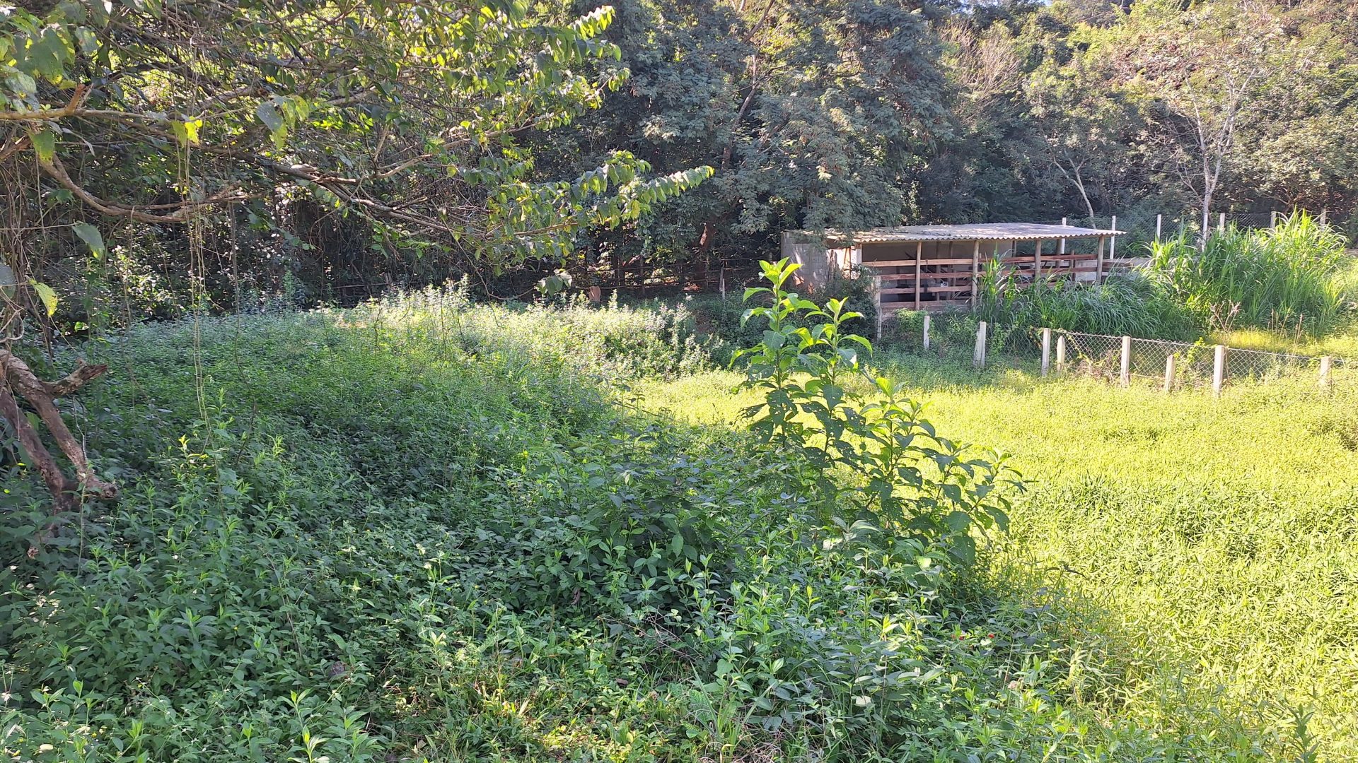 OPORTUNIDADE IMPERDÍVEL EM BAIRRO NOBRE DE SOCORRO-SP